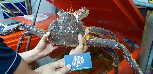 cua hoàng đế alaska cua king crab cua alaska