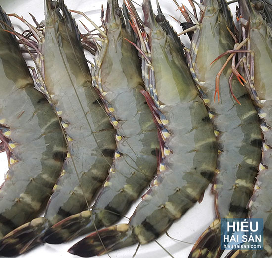 tôm sú nướng muối ớt