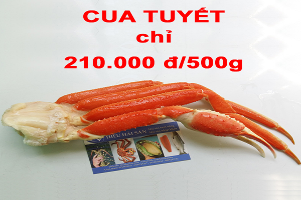 CUA TUYẾT MỚI VỀ