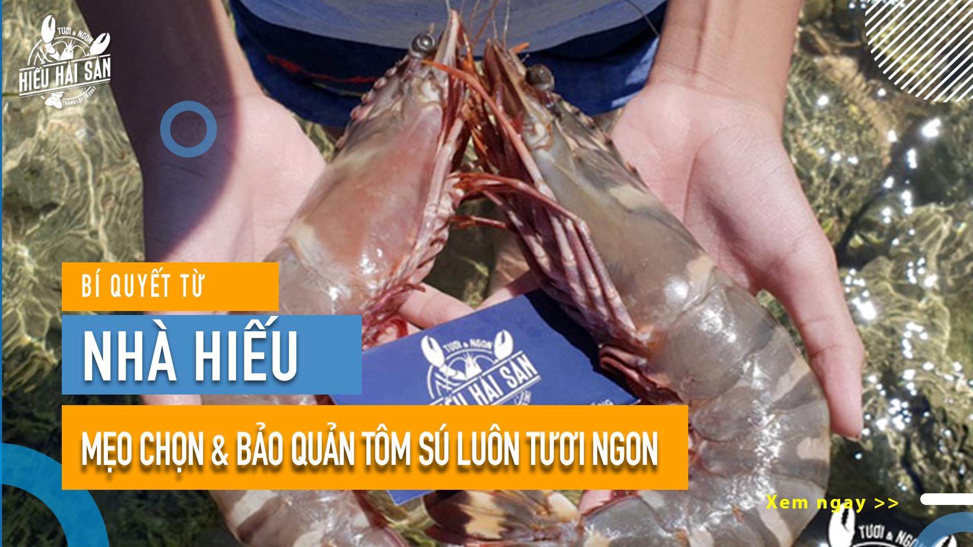 Mẹo chọn và bảo quản tôm sú luôn tươi ngon