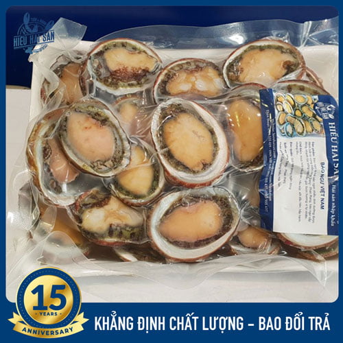 Bào ngư Việt Nam