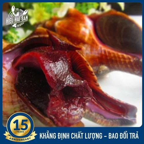 Ốc Đỏ sống (5—7 con)
