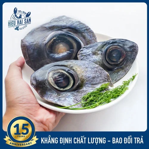 Mắt Cá Ngừ Đại Dương