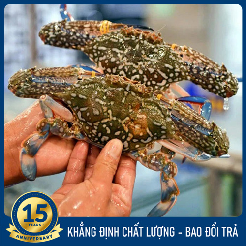 Ghẹ sống (3 - 4 con/kg)