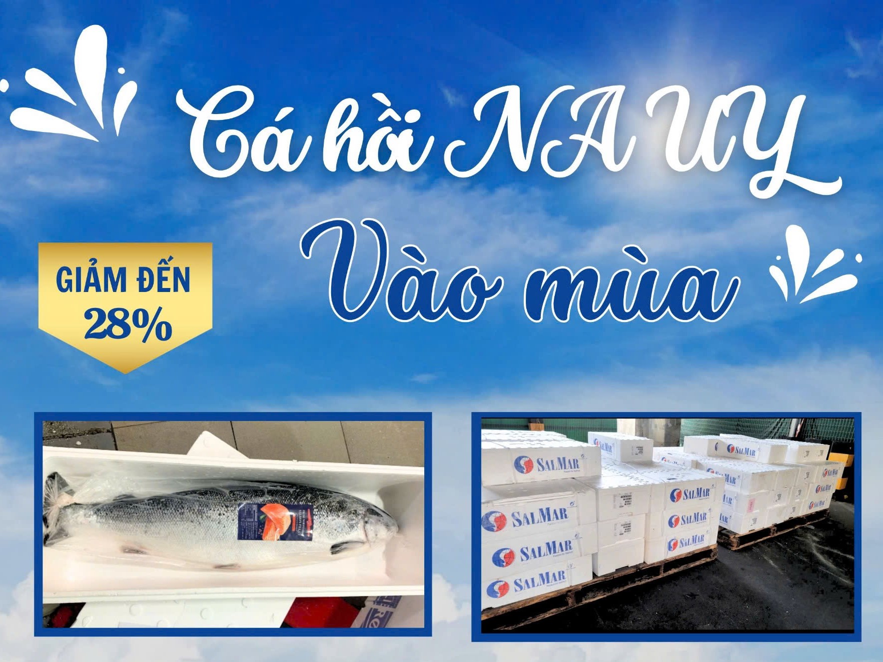 Cá Hồi Tươi Mỗi Ngày – Ưu Đãi HOT, Đừng Bỏ Qua!
