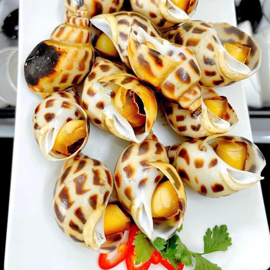 Ốc Hương Đại (15 - 30 Con)