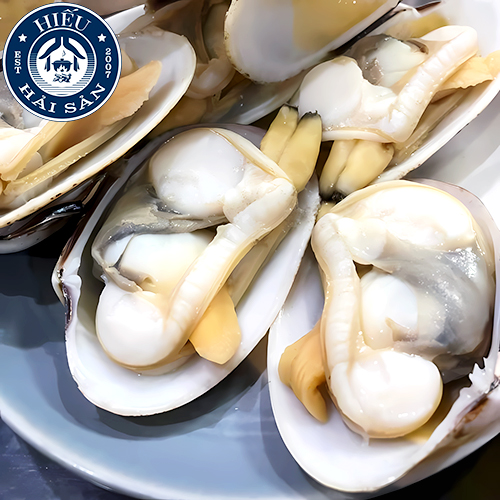 Ngao 2 cồi (8 - 11 con)