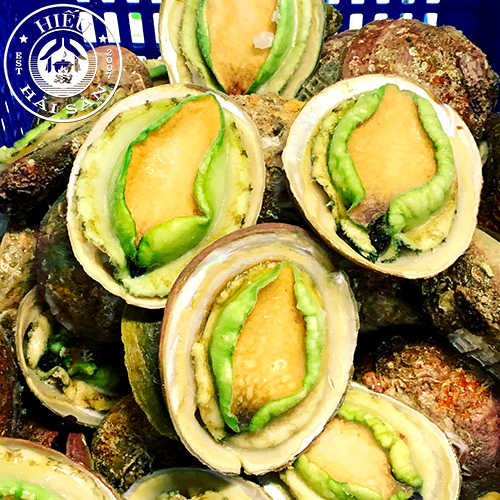 Bào Ngư Úc (3 - 4 con)