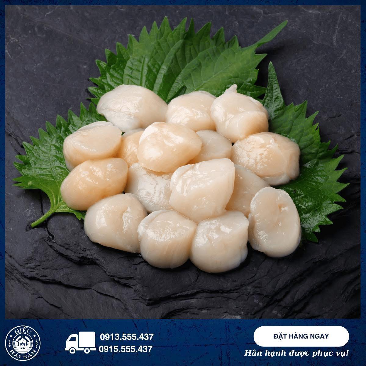 Cồi sò điệp Nhật (20 - 25 con)