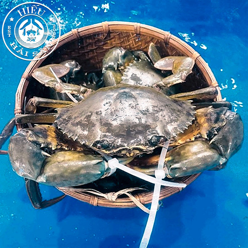 Cua gạch Cà Mau (3—4 con /kg)