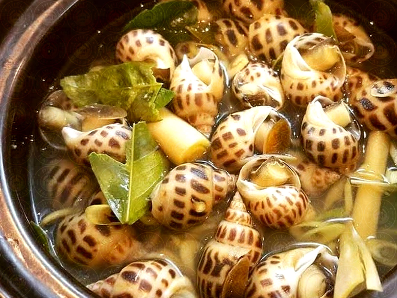 ốc hương luộc nước dừa