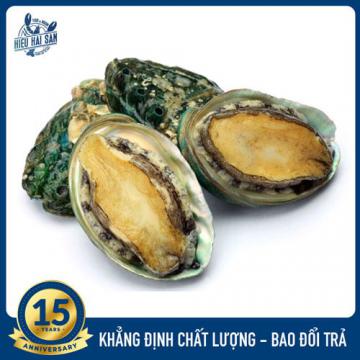 Bào ngư Hàn Quốc tươi cấp đông