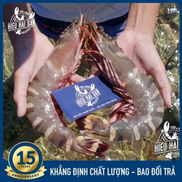 Tôm Sú Mẹ (5 - 8 con/kg)