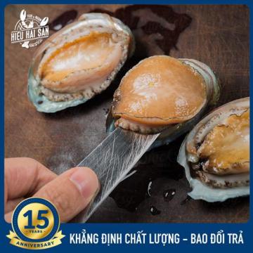 Bào ngư chi lê (10 – 12 con/kg)