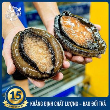 Bào ngư Úc viền đen