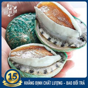 Bào Ngư Ngọc Bích Úc (8 - 9 con)