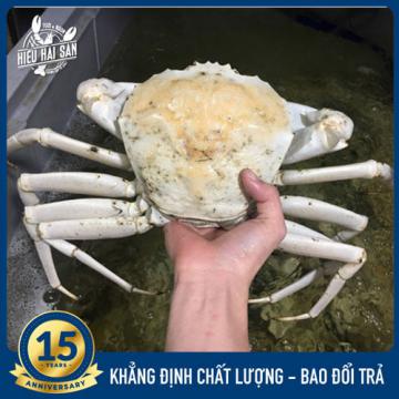 Cua pha lê Úc sống (1 - 2kg)