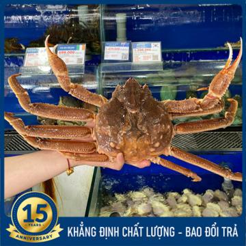 Cua Tuyết sống (1.2 - 1.6kg)