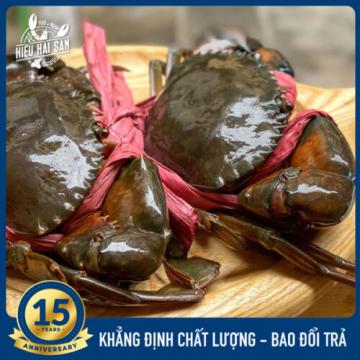 Cua Thịt Cà Mau (2 - 3con/kg)