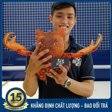 Cua huỳnh đế (0.8 - 1.5kg)