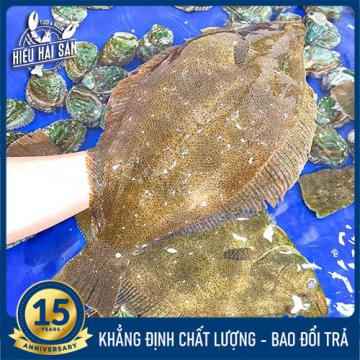 Cá Thờn Bơn sống (0.9 - 1.4 kg)