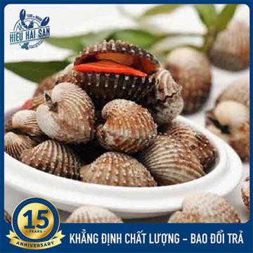 Sò Huyết Đại (10 - 20 con)