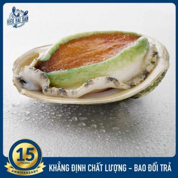Bào Ngư Úc (3 - 4 con)