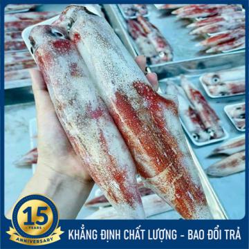 Mực ống câu