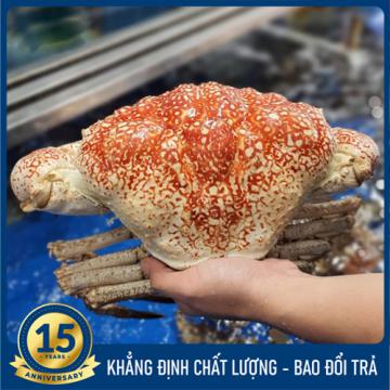Cua Tasmania Úc sống (2.5 - 8kg)