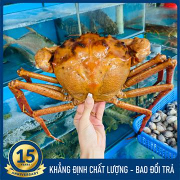 Cua vàng Nhật Bản (700g - 1.5kg)