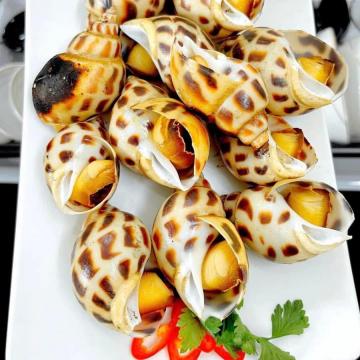 Ốc Hương Đại (15 - 30 Con)