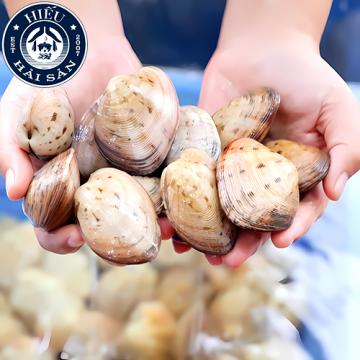 Ngao 2 cồi (8 - 11 con)