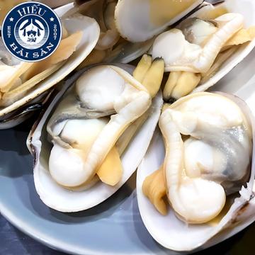 Ngao 2 cồi (8 - 11 con)