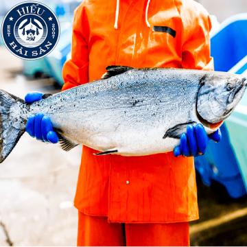 Cá Hồi Vua (5 - 7kg)