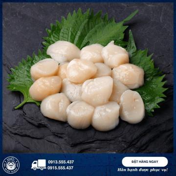 Cồi sò điệp Nhật (20 - 25 con)