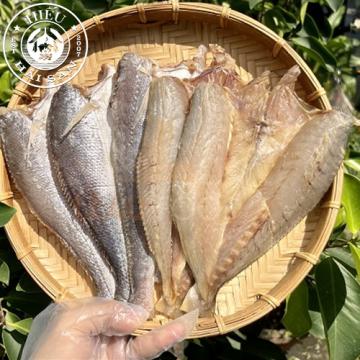 Khô cá đù 1 nắng (6 — 8 con)