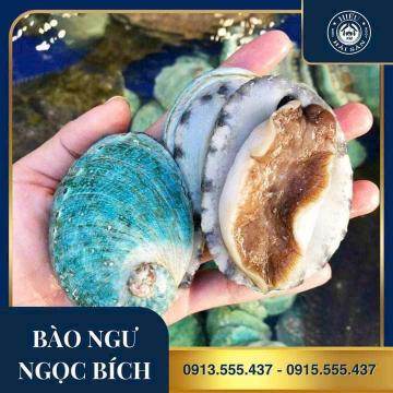 Bào Ngư Ngọc Bích Úc (6 - 8 con)