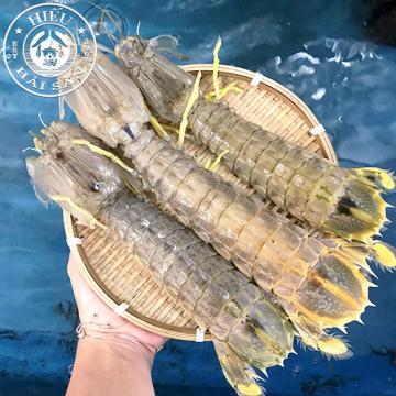 Tôm Tích (4 - 6 con/kg)