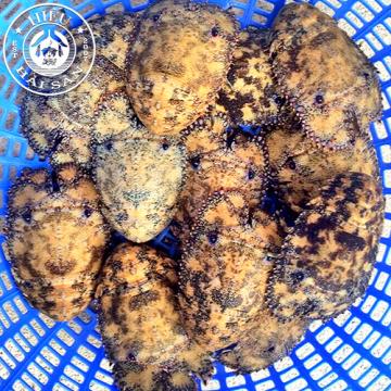 Tôm mũ ni đen (3—5 con)